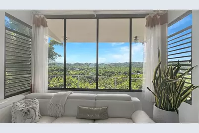 . Domingo Ruiz Ward, Palache El Cerro Sector, Arecibo, PR 00612 - Photo 22