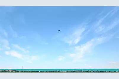 . Domingo Ruiz Ward, Palache El Cerro Sector, Arecibo, PR 00612 - Photo 46