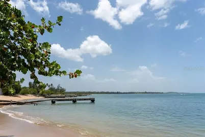 66 Villas Del Golf Este #66 Este, Dorado, PR 00646 - Photo 38