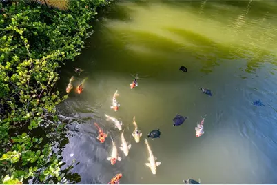 Bahia Beach Resort Ocean Drive #3102, Rio Grande, PR 00745 - Photo 48