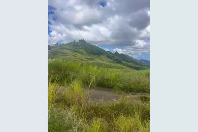 Perchas, Morovis, PR 00687 - Photo 4