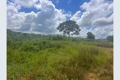 Perchas, Morovis, PR 00687 - Photo 2