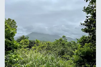 975 Ceiba , Bo Rio Abajo, Ceiba, PR 00735 - Photo 4