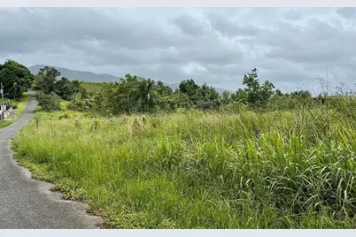975 Ceiba , Bo Rio Abajo, Ceiba, PR 00735 - Photo 6