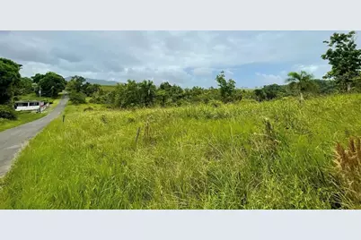 975 Ceiba , Bo Rio Abajo, Ceiba, PR 00735 - Photo 10