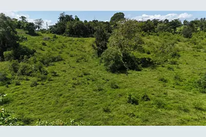 Carr. 445 Km. 3.4 Int. Barrio Saltos, San Sebastian, PR 00685 - Photo 2