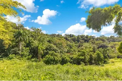 Villa Azul - Ensenada Carr 414, Rincon, PR 00677 - Photo 30