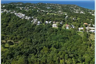 Calle Las Palmas, Rincon, PR 00677 - Photo 6