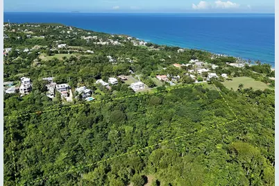 Calle Las Palmas, Rincon, PR 00677 - Photo 2