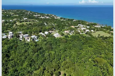 Calle Las Palmas, Rincon, PR 00677 - Photo 4