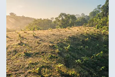 Sr 526 Bosque Tanama, Adjuntas, PR 00601 - Photo 26