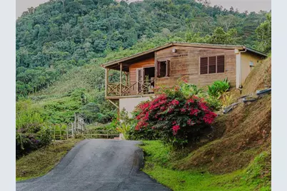 Sr 526 Bosque Tanama, Adjuntas, PR 00601 - Photo 2