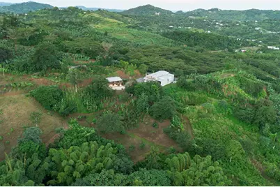 Sr 526 Bosque Tanama, Adjuntas, PR 00601 - Photo 24