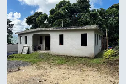 Pr 902 Camino Carlos Diaz, San Lorenzo, PR 00754 - Photo 8