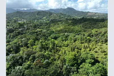 Pr 902 Camino Carlos Diaz, San Lorenzo, PR 00754 - Photo 16