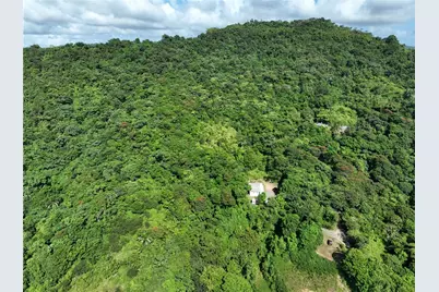 Pr 902 Camino Carlos Diaz, San Lorenzo, PR 00754 - Photo 1