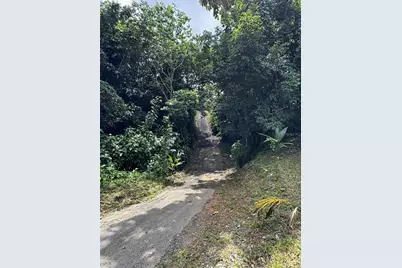 Pr 902 Camino Carlos Diaz, San Lorenzo, PR 00754 - Photo 6
