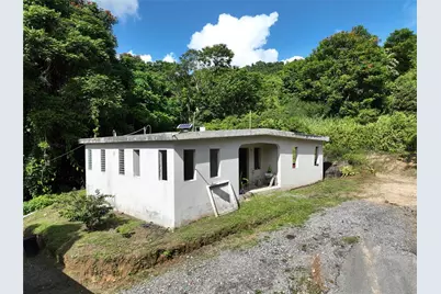 Pr 902 Camino Carlos Diaz, San Lorenzo, PR 00754 - Photo 12