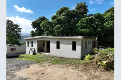Pr 902 Camino Carlos Diaz, San Lorenzo, PR 00754 - Photo 14