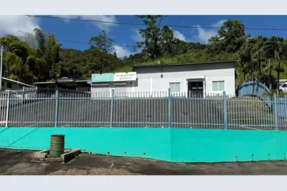 156 Sector, Km 13.5 Pr-156, Barranquitas, PR 00794 - Photo 1