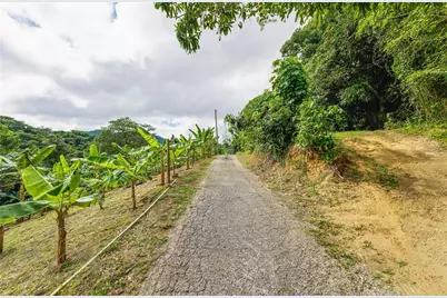 Carr. 140 Km 17.9, Utuado, PR 00641 - Photo 6