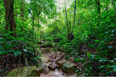 Carr. 140 Km 17.9, Utuado, PR 00641 - Photo 10