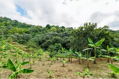 Carr. 140 Km 17.9, Utuado, PR 00641 - Photo 8