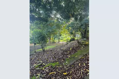 185 Km 6.1 Campo Rico Road, Canovanas, PR 00729 - Photo 4
