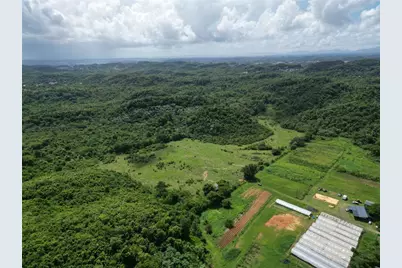 Pr 682 Km 6.5 Int Garrochales Ward, Arecibo, PR 00612 - Photo 4