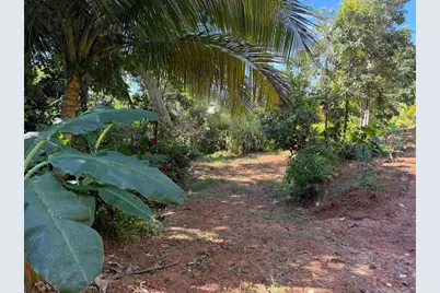 Carr 950 Km 1.2 Int Bo. Higuerillo, Sector La Suiza #21, Naguabo, PR 00718 - Photo 22