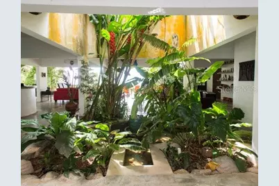 Pitahaya Camino Los Polacos, Luquillo, PR 00773 - Photo 4