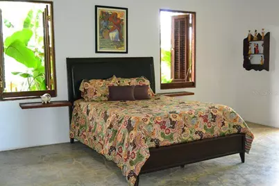 Pitahaya Camino Los Polacos, Luquillo, PR 00773 - Photo 18