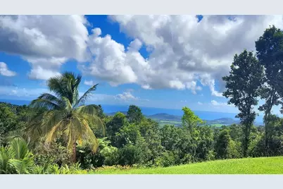 Pitahaya Camino Los Polacos, Luquillo, PR 00773 - Photo 20