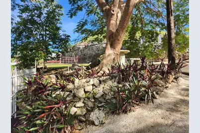 0 Pr 453 Int, Lares, PR 00669 - Photo 24