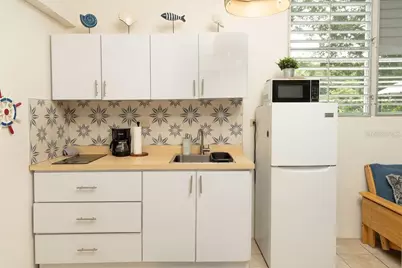 363 Calle Antonio G. Mellado, Vieques, PR 00765 - Photo 28