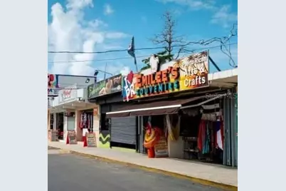 Carr. 985 Bo. Florencio, Fajardo, PR 00738 - Photo 8