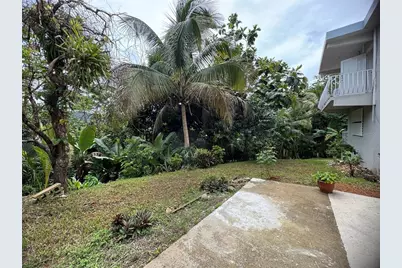 21817 Sector Malua Guavate, Cayey, PR 00736 - Photo 10