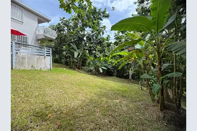21817 Sector Malua Guavate, Cayey, PR 00736 - Photo 4