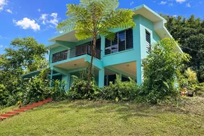 Pr-945 Km 16.1 Barrazas Ward (Interior), Carolina, PR 00979 - Photo 1