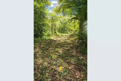 Pr-945 Km 16.1 Barrazas Ward (Interior), Carolina, PR 00979 - Photo 16