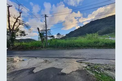 Carr 191, Naguabo, PR 00718 - Photo 2