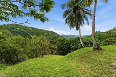 7 Carr 827 Km 1.0 Sector Los Llanos, Toa Alta, PR 00953 - Photo 28