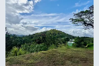 Bo RincÃ“n Lomas, Cayey, PR 00736 - Photo 6