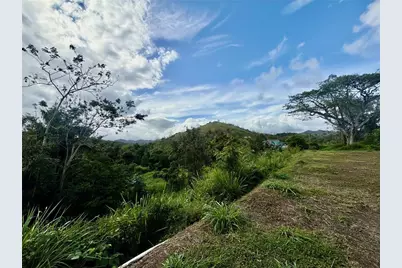 Bo RincÃ“n Lomas, Cayey, PR 00736 - Photo 2