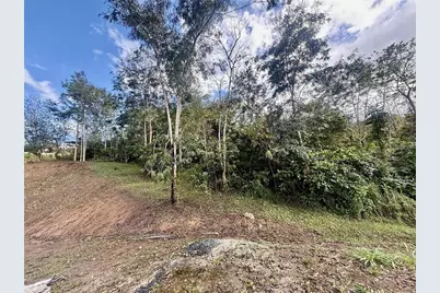 Bo RincÃ“n Lomas, Cayey, PR 00736 - Photo 1