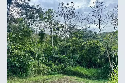 Bo RincÃ“n Lomas, Cayey, PR 00736 - Photo 18