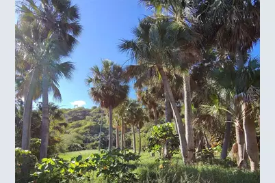 732 Pr-466 Bajuras, Isabela, PR 00662 - Photo 22