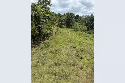 Carr 119 Int. 448 Km 3.7 Road, San Sebastian, PR 00685 - Photo 8