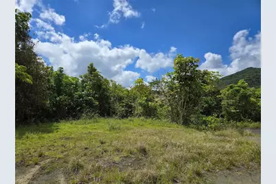Pr 7718 Km 4.1 Pasto Ward, Aibonito, PR 00705 - Photo 14