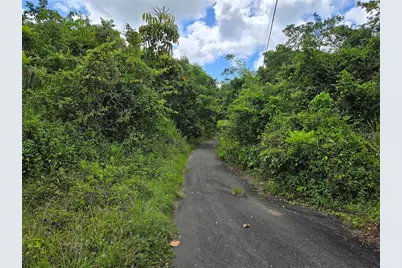 Pr 7718 Km 4.1 Pasto Ward, Aibonito, PR 00705 - Photo 6